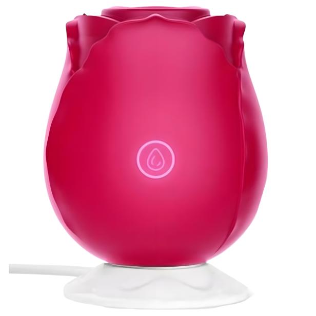 wibrator-Photoroom (4).png